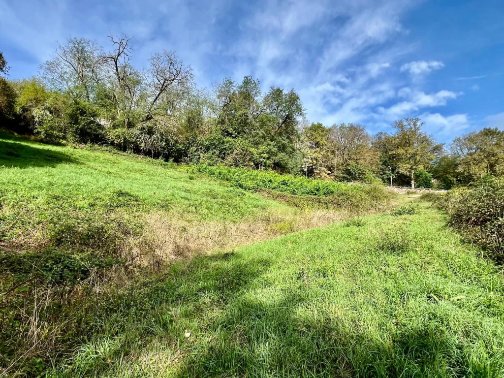 Terrain de 5 456 m², photo 2 sur 3