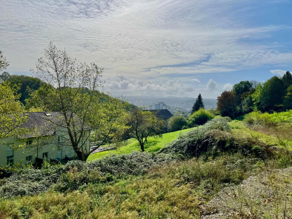 Terrain de 5 456 m², photo 3 sur 3